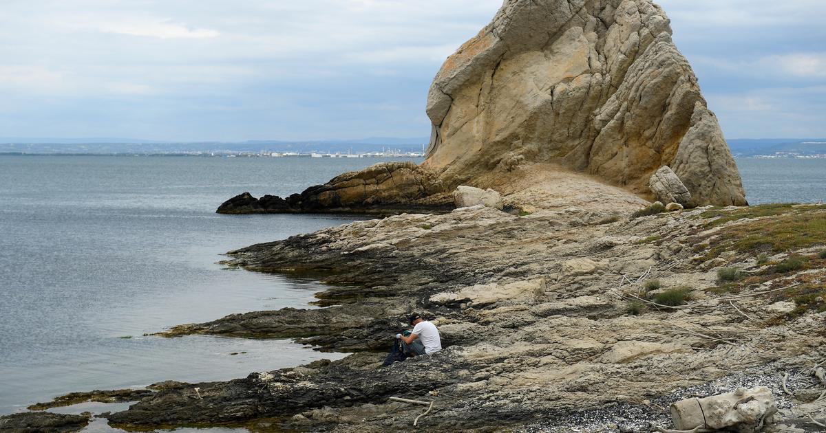 Étang de Berre : des pêcheurs revendent illégalement 24 tonnes de palourdes, le réseau démantelé