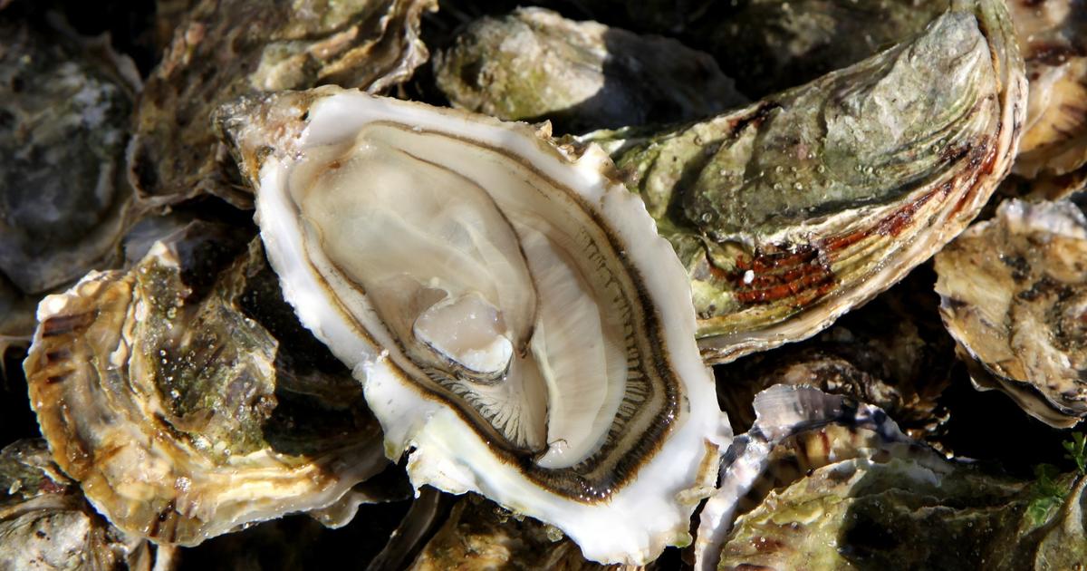 AIを活用してバイオベースプラスチックの開発を加速