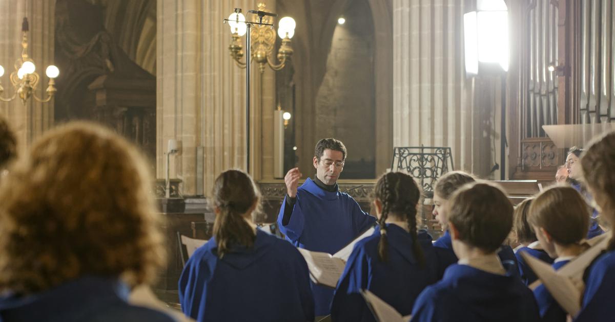 The Masters of Notre-Dame, the voices of the cathedral at the heart of the reopening