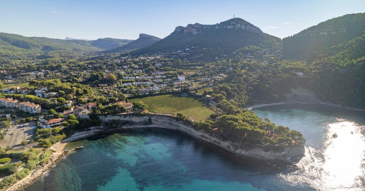 À Cassis, des vins blancs magnifiques bientôt incontournables en Provence et au-delà
