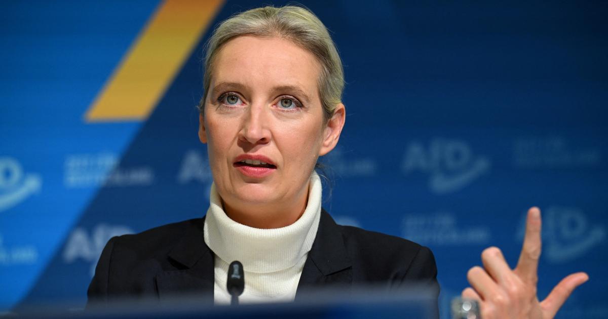 Allemagne : Alice Weidel, candidate d'extrême droite à la chancellerie, verbe haut et ambitions limitées