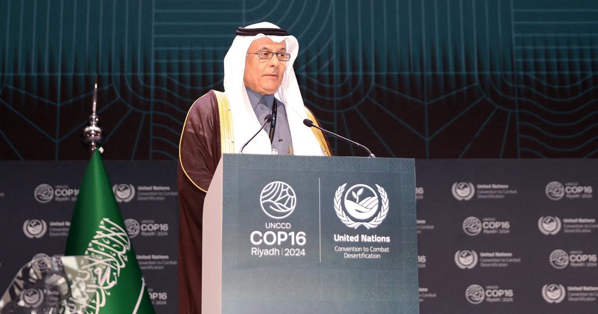 «La dégradation des terres concerne tout le monde»: à Riyad, dernière ligne droite pour la COP16 désertification