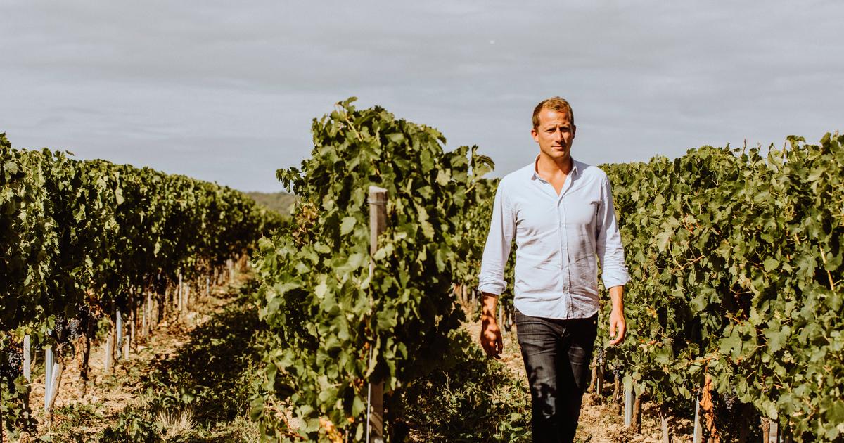 Au domaine viticole de la Bouche du Roi, l’ambition de créer les premiers grands crus d’Île-de-France