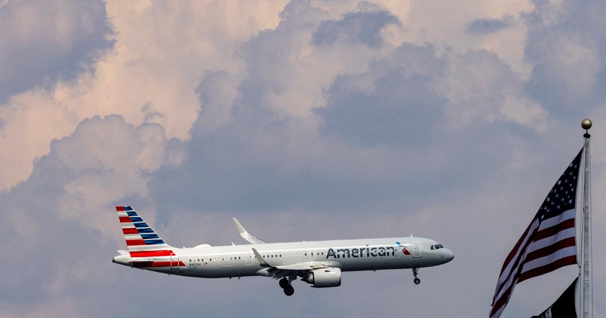 「技術的な不具合」でアメリカン航空の全便が１時間運航停止に