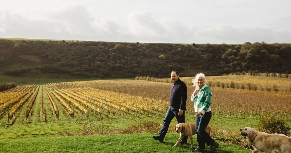 Avec le réchauffement climatique, l’Angleterre se lance dans le champagne