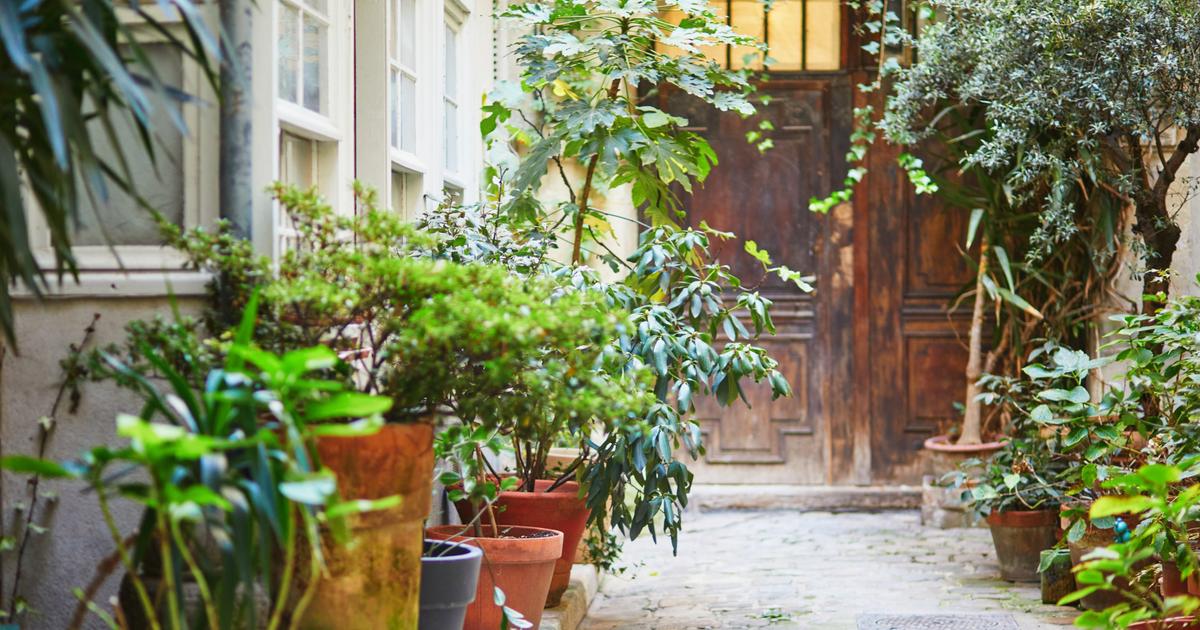 La capitale en quête d’un retour à la nature