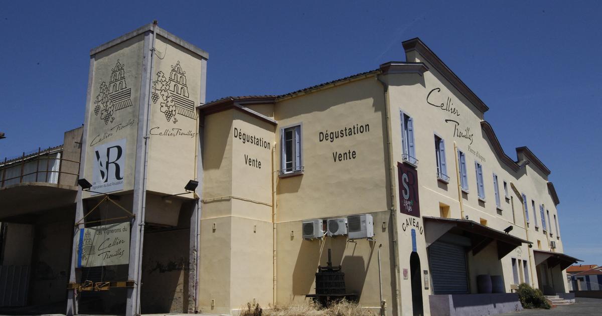Dans un contexte de crise du vin, l’heure est à la survie pour les caves coopératives