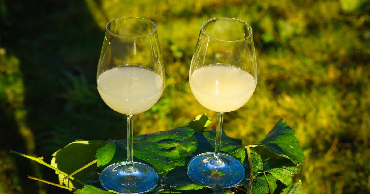 Qu’est-ce que le «bourret», ce premier vin de l’année populaire dans le Sud-Ouest ?