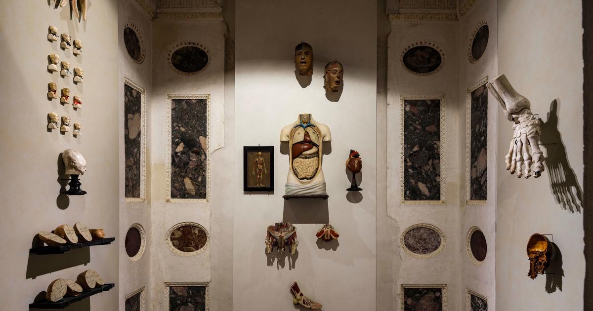 Le Palazzo Grimani de Venise, une ode à l’art de collectionner