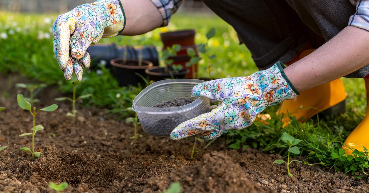 Plus toxique que le cyanure : attention à cet engrais bio au jardin