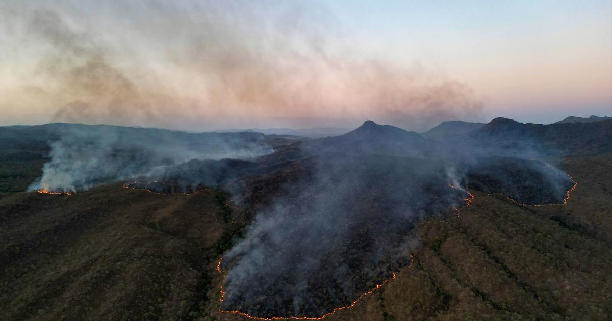 ブラジルでは昨年イタリアと同等の面積が焼失した