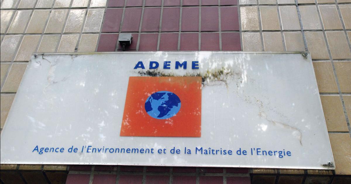 暴力的な批判に直面して、AdemeのCEOは上院議員の前で彼の有効性を擁護します