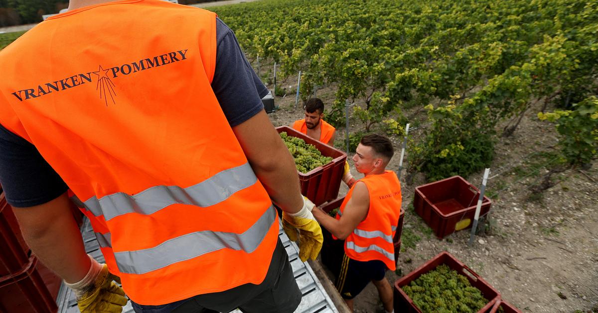 Vranken-Pommery : le champagne pèse sur le chiffre d’affaires en 2024