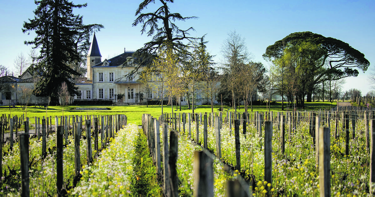 « Une autre agriculture » : pourquoi il faut écouter le podcast passionnant produit par le château Cheval Blanc