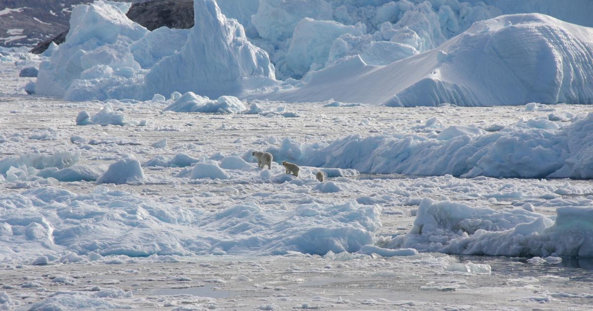 2025年1月世界で測定された最も温かい、新しい「驚くべき」記録