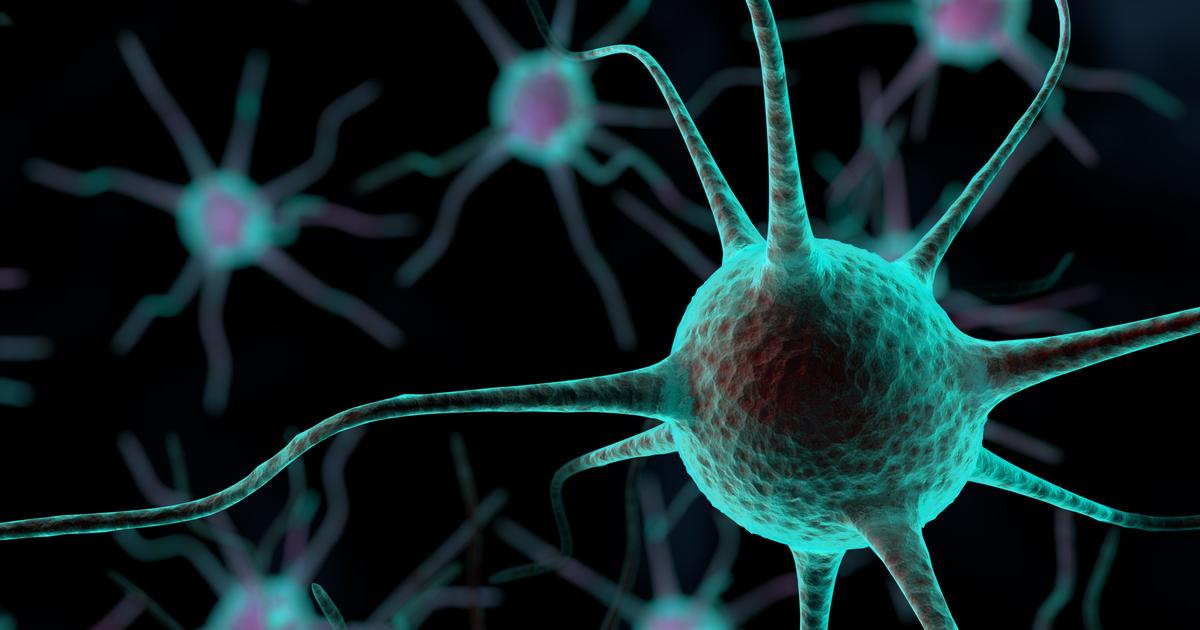 臭いによって活性化されたニューロンはあなたが食べるのをやめるように命じる