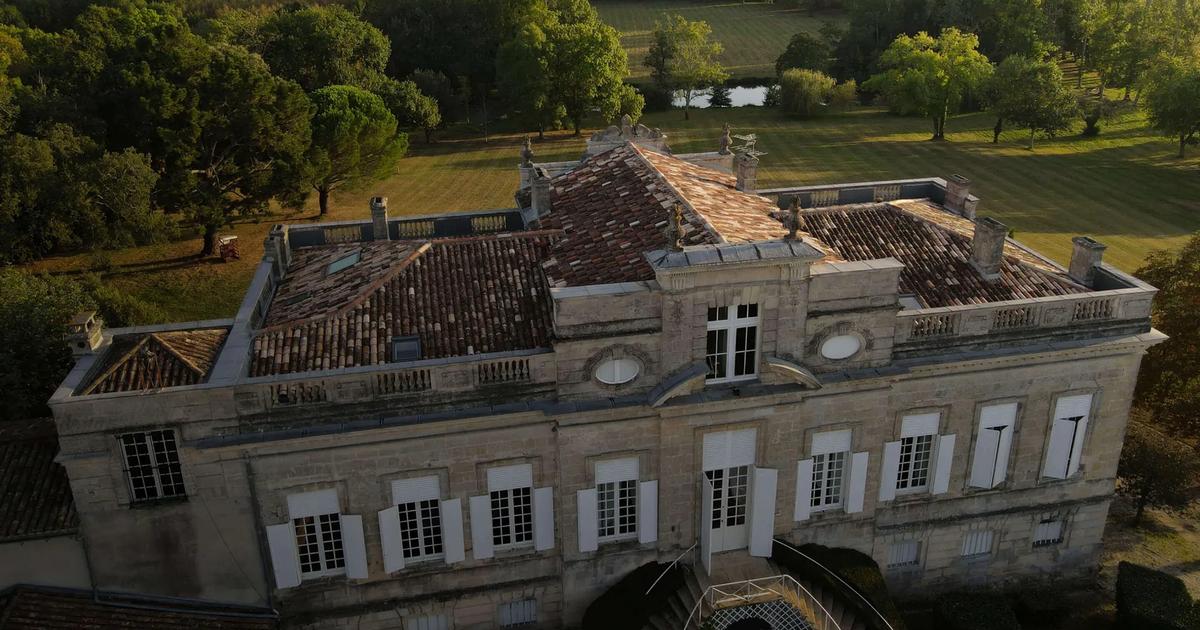 Renouvelé tous les cinq ans, le classement 2025 des vins de Bordeaux en crus bourgeois a été révélé