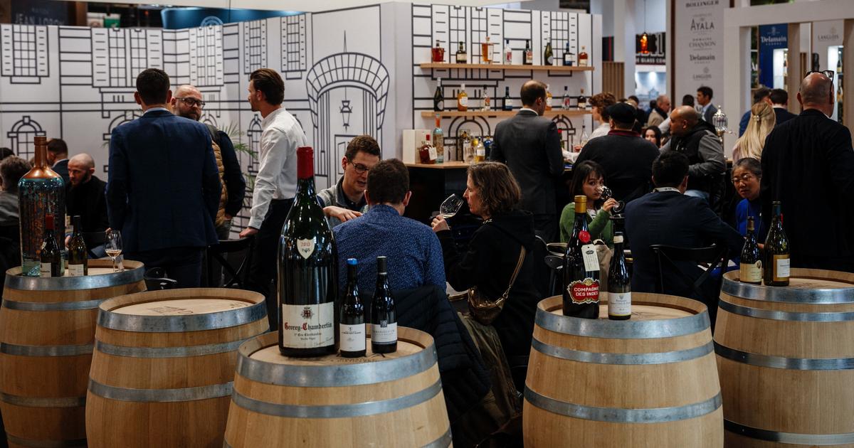 «Que peut la raison face à Trump ?» : au salon Wine Paris, les vignerons dans l’attente des inéluctables droits de douane