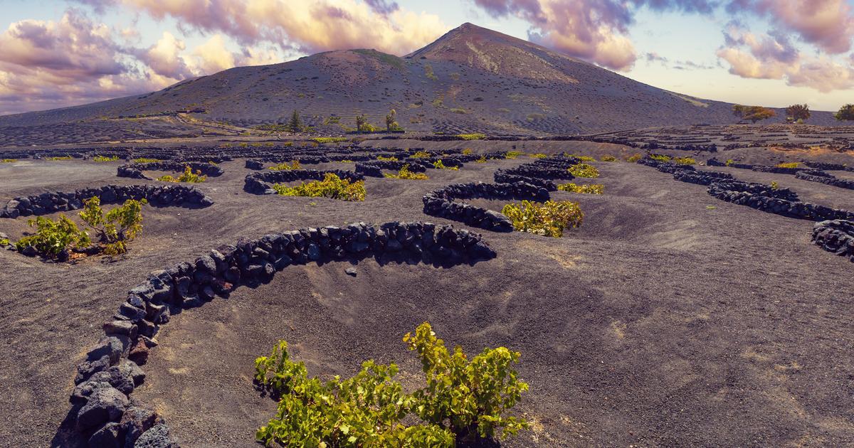 «Ils intéressent et génèrent une curiosité» : les vins volcaniques veulent sortir de l’anonymat