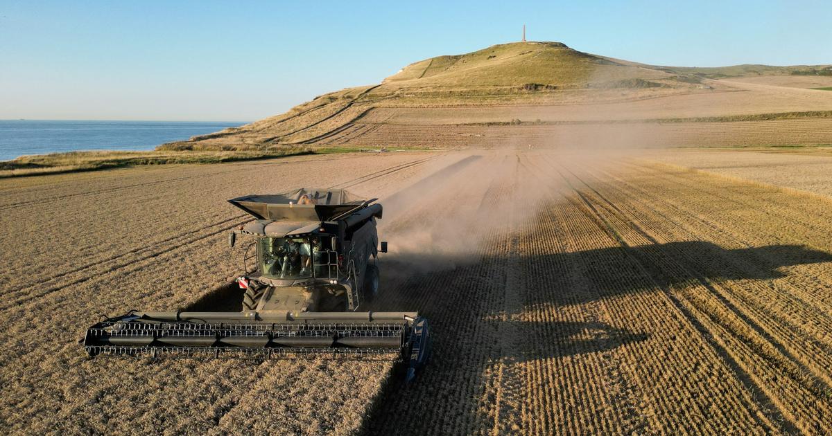 Simplification, souveraineté alimentaire, non-régression… Ce que contient le projet de loi agricole adopté par le Sénat