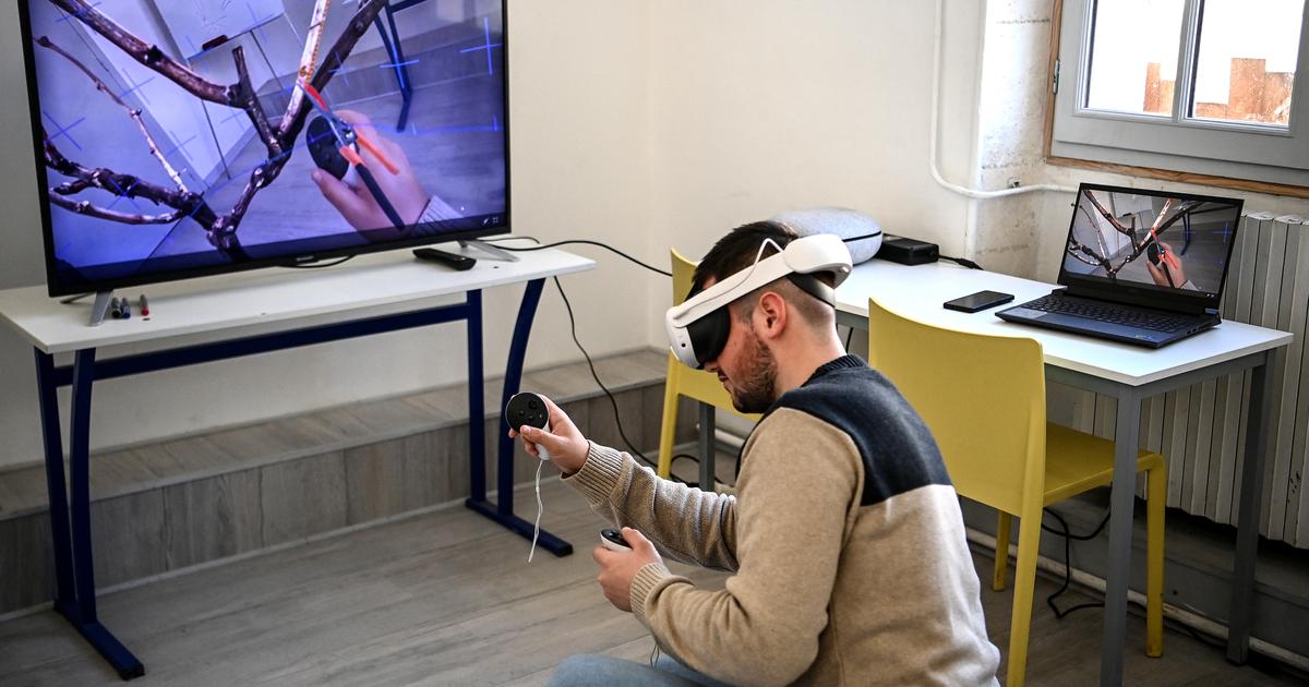 À Cognac, la réalité virtuelle permet désormais de se former aux travaux de la vigne