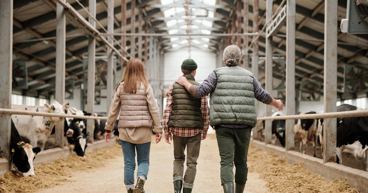 Sondage : un an après la crise, les Français soutiennent massivement leurs agriculteurs