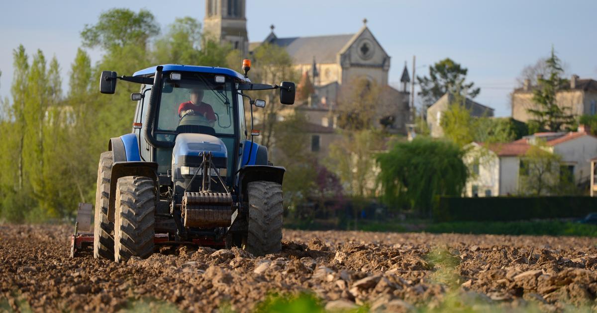 Guillaume Tabard: «Ce que les Français doivent à leurs paysans»