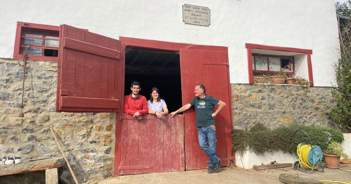 «Certains peuvent le vivre comme une véritable perte d’identité»: la transmission des exploitations, un défi pour l’agriculture française