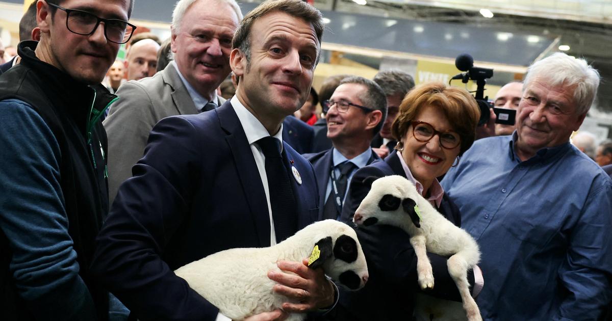 «Il n’est pas populaire, mais y’a du monde quand même» : Macron, une visite apaisée au Salon de l’agriculture