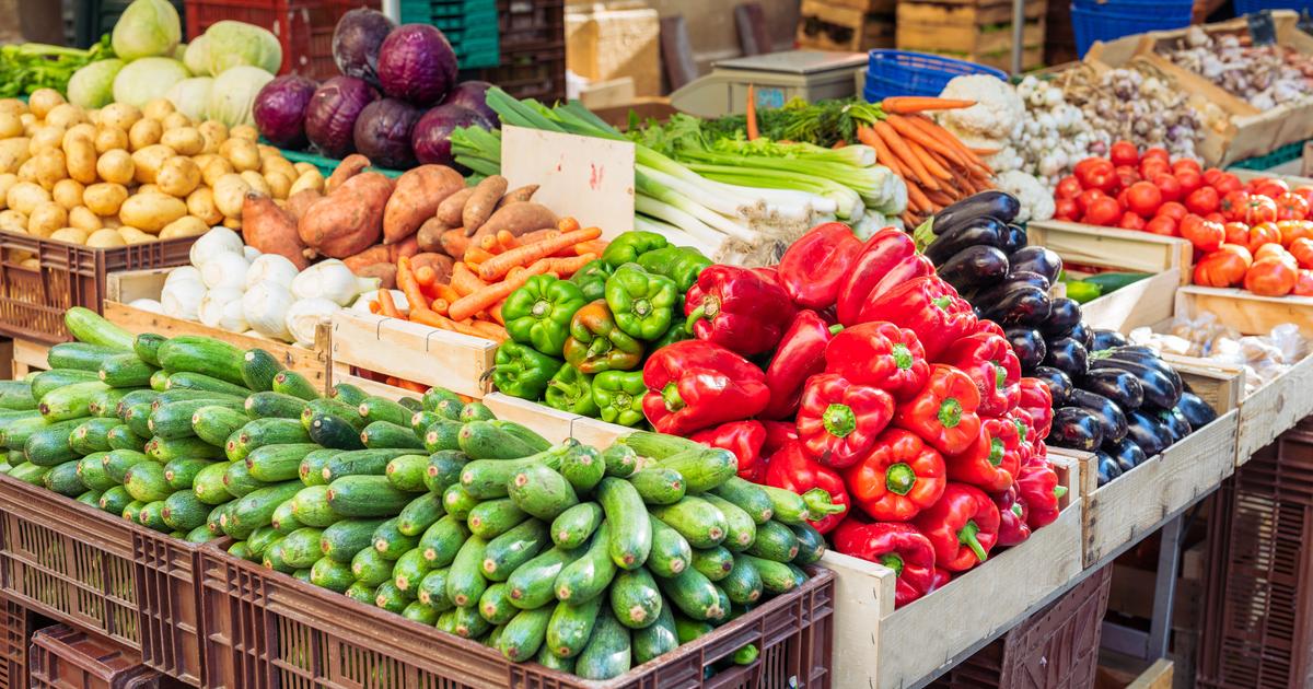 Salon de l’agriculture : tomates, céréales… Que représentent les échanges agricoles entre la France et le Maroc ?