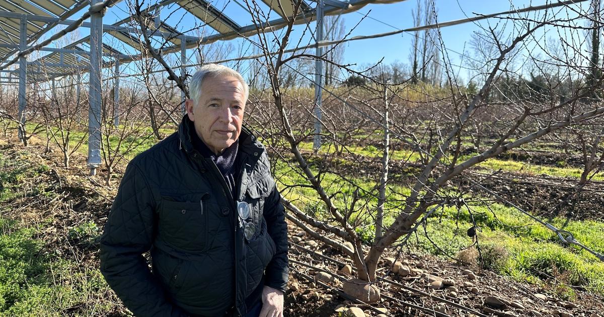 «L’exploitation est truffée de capteurs»: l’agrivoltaïsme, cette tendance visant à coupler agriculture et production d’électricité
