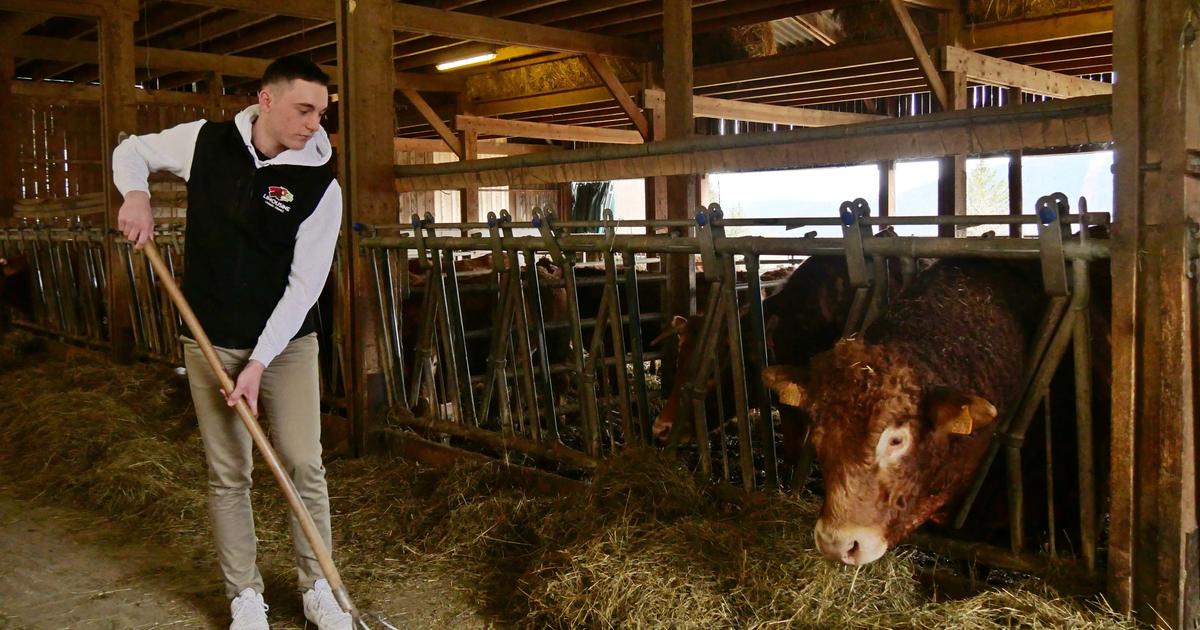 Dans le vercors, de jeunes férus d’agriculture préparés à prendre la relève