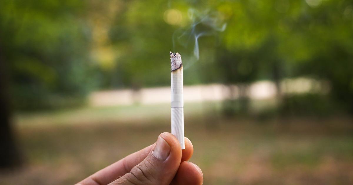 Peut-on vraiment utiliser de la cendre de cigarette au jardin ?