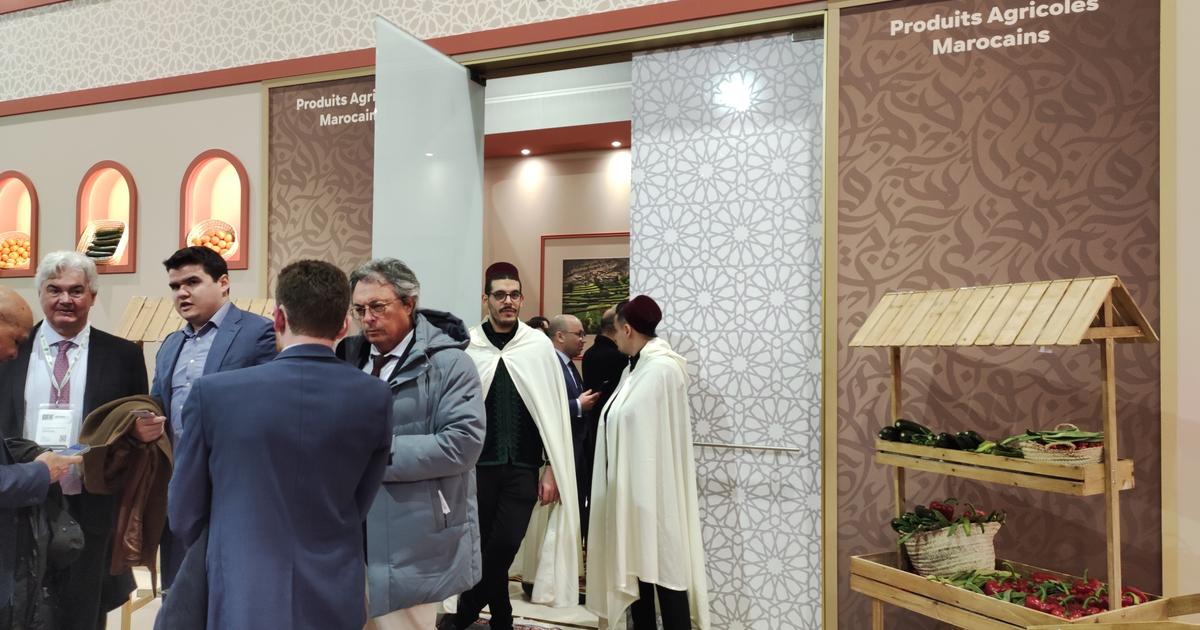 Au salon de l’agriculture, le statut d’invité d’honneur du Maroc fait tiquer les maraîchers français