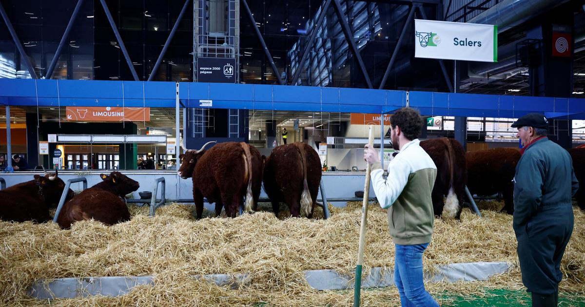 «Il est temps que la France se débarrasse des entraves qui brident le développement de notre agriculture»