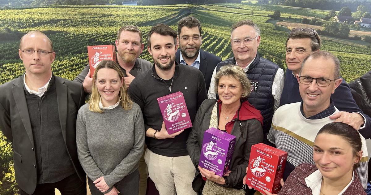 «Soutenons nos vignerons» : E.Leclerc va proposer du vin à prix très réduit pour aider des appellations en difficulté