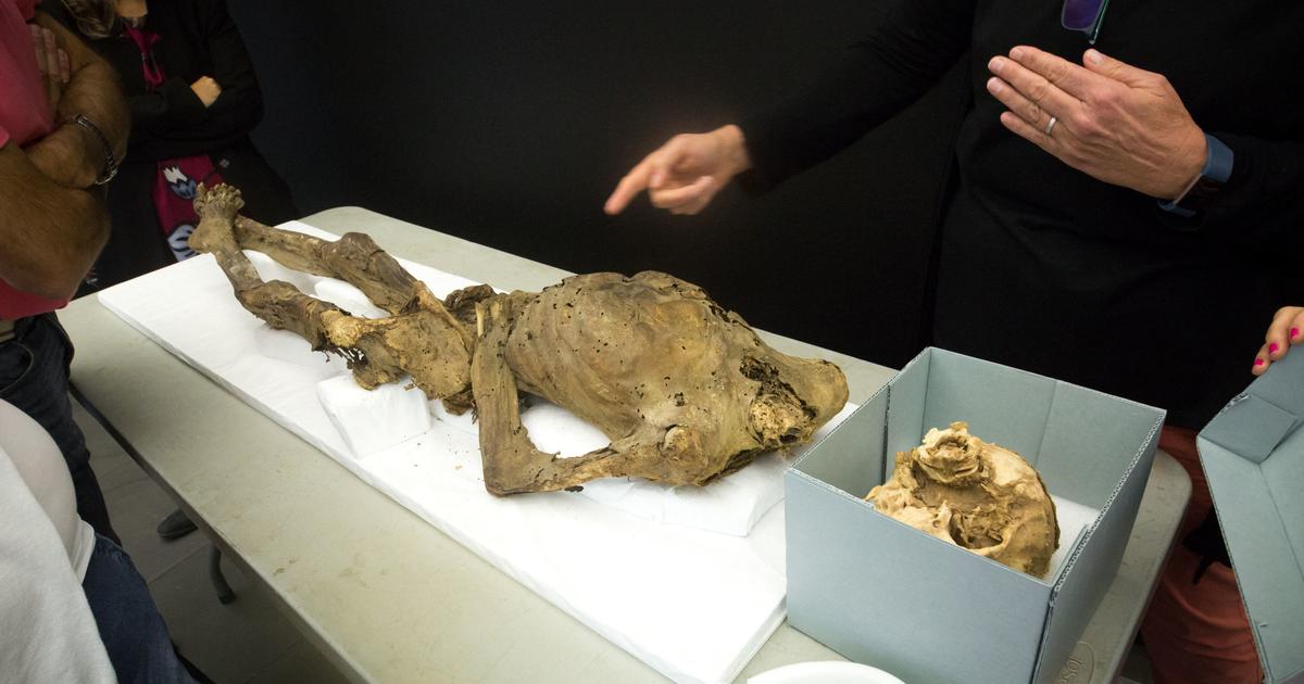 The Spanish Ministry of Culture withdraws a museum from a museum in order to no longer expose “human remains”