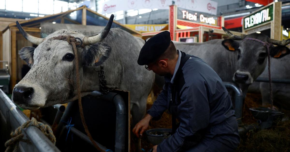 Mal-être des agriculteurs : une détresse accrue et une meilleure prise en charge