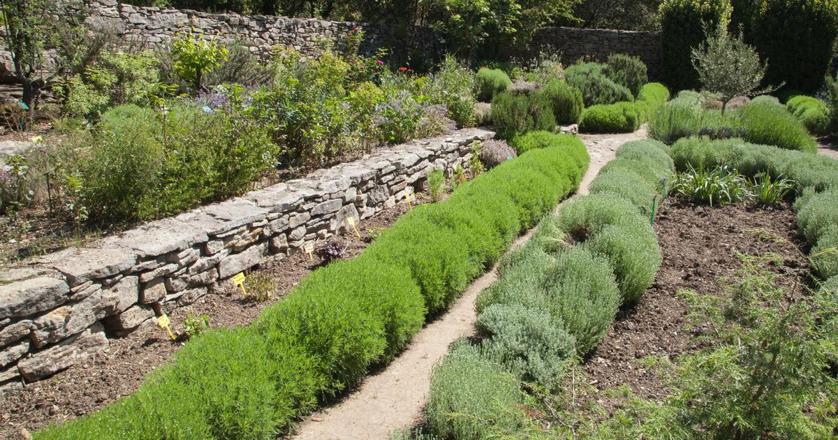 Comment faire une culture en terrasse?