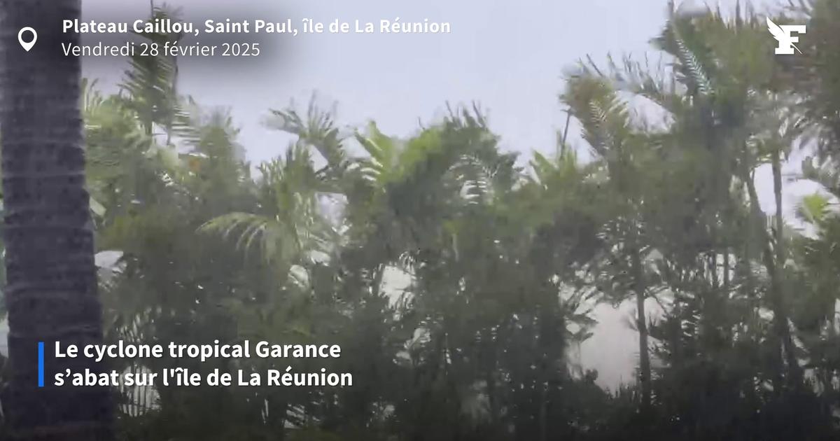 Rafales à 230 km/h, rues accidentées... Les images impressionnantes du cyclone Garance à La Réunion