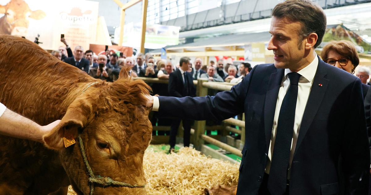 Salon de l’agriculture: 607.503 visiteurs pour la 61e édition, fréquentation en légère hausse