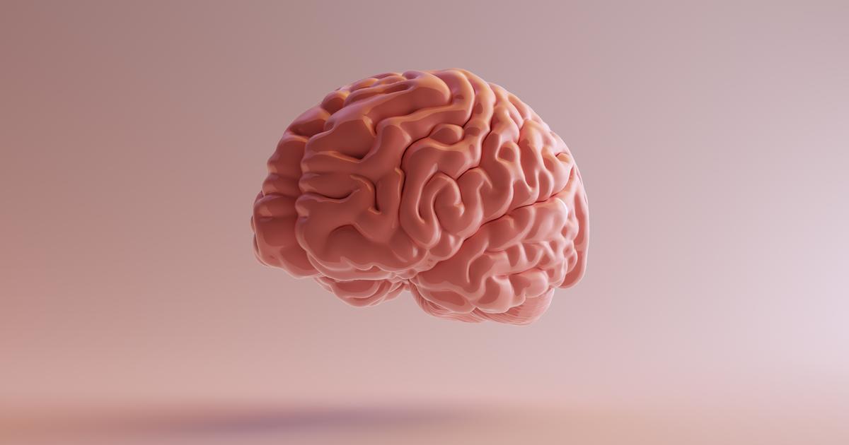 Brain Weekのプログラム全体