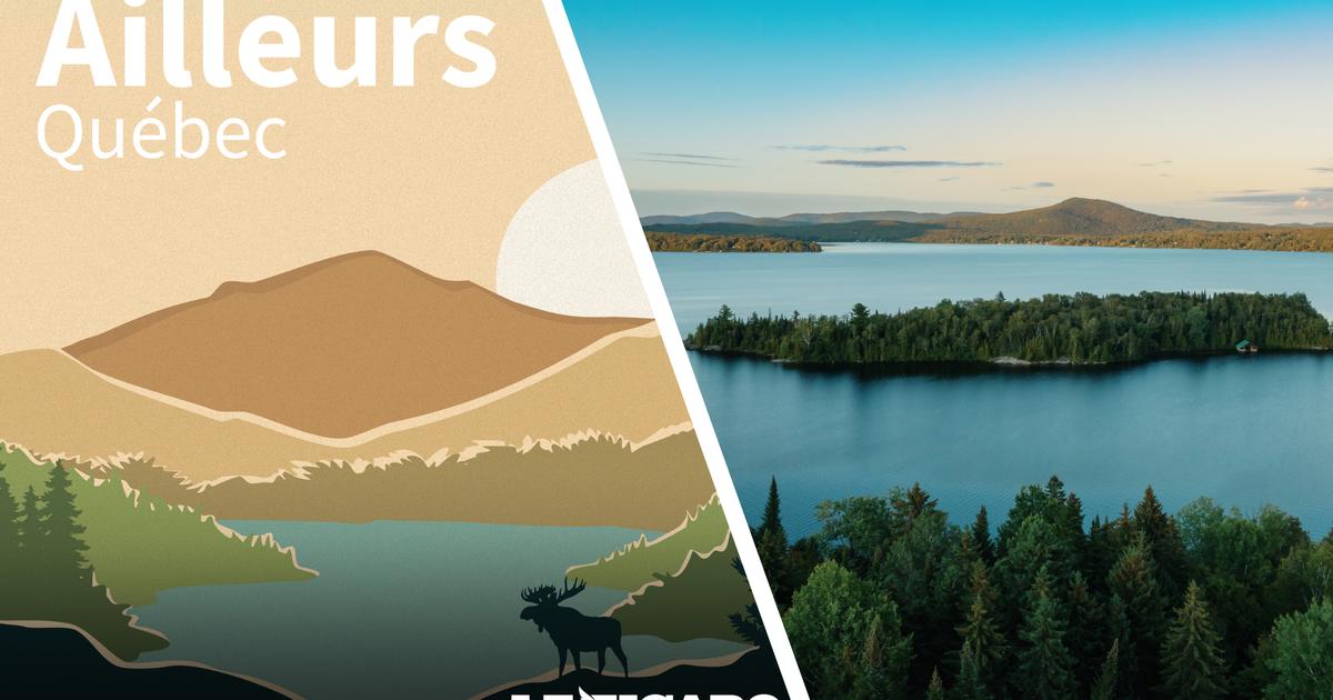 « c’est féerique» : cabanes, lacs, orignal... Plongée dans la nature souveraine du québec