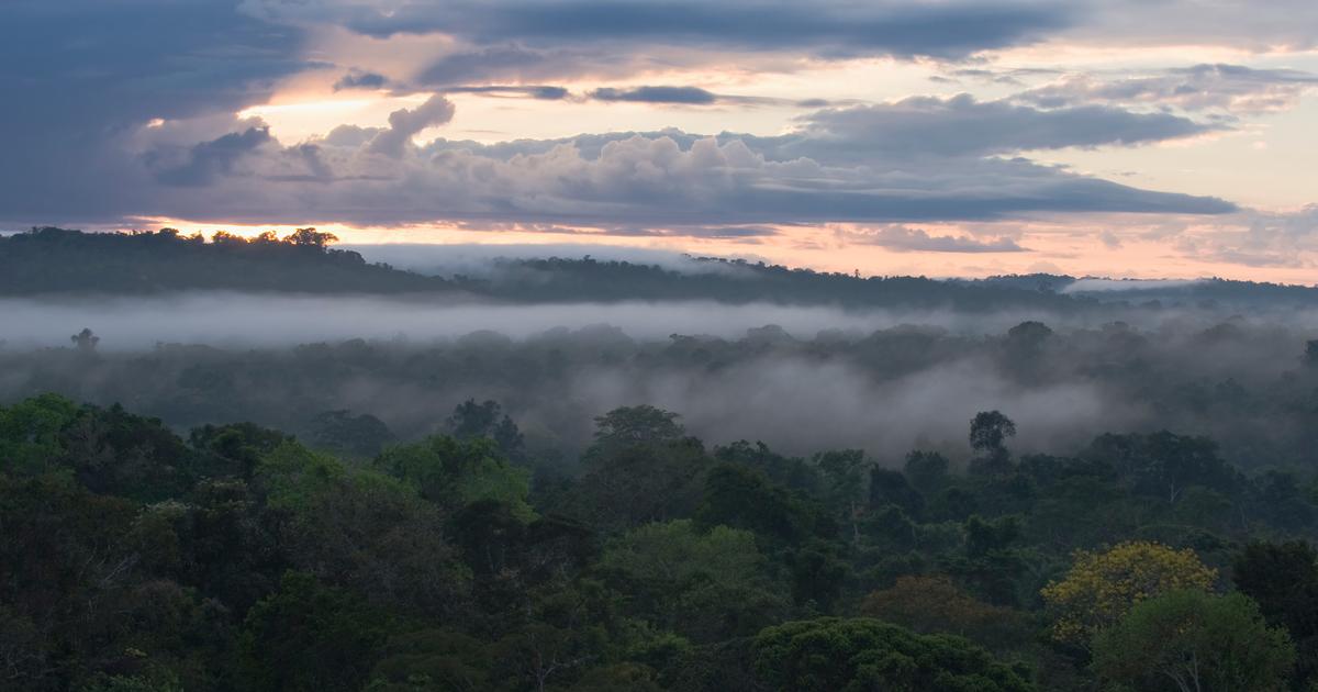 アマゾンの季節に対する森林破壊の驚くべき影響