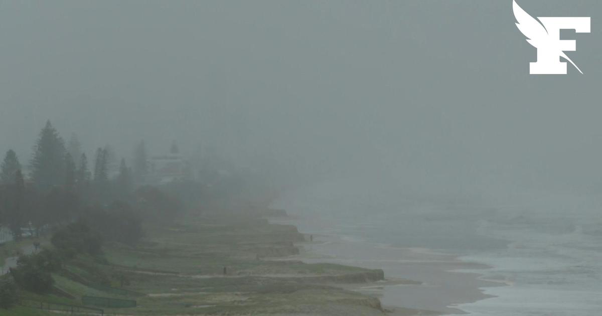 Arbres arrachés, routes inondées... le cyclone Alfred s’abat sur l’Australie