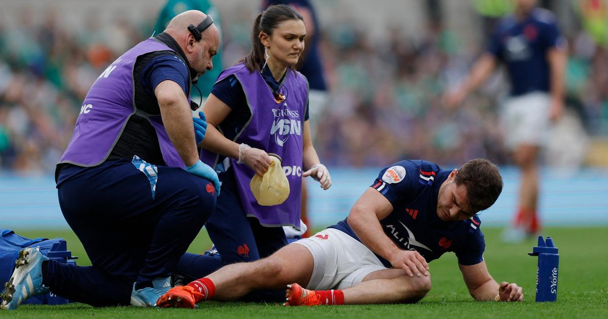 Six nations : les trois irlandais qui ont blessé dupont et barassi ne seront pas sanctionnés