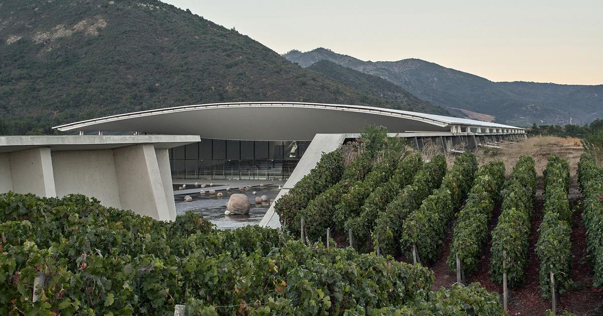 Produire le meilleur vin du monde : au Chili, les ambitions spectaculaires du domaine Viña Vik