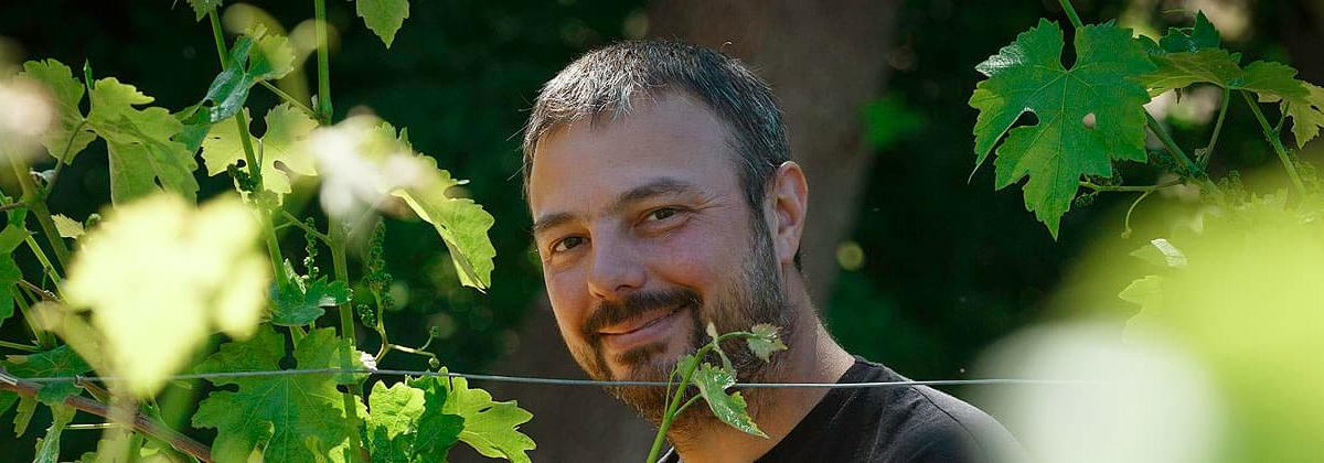 «Un potentiel d’expansion important» : en Ariège, ces quelques vignerons qui font renaître le passé viticole du département