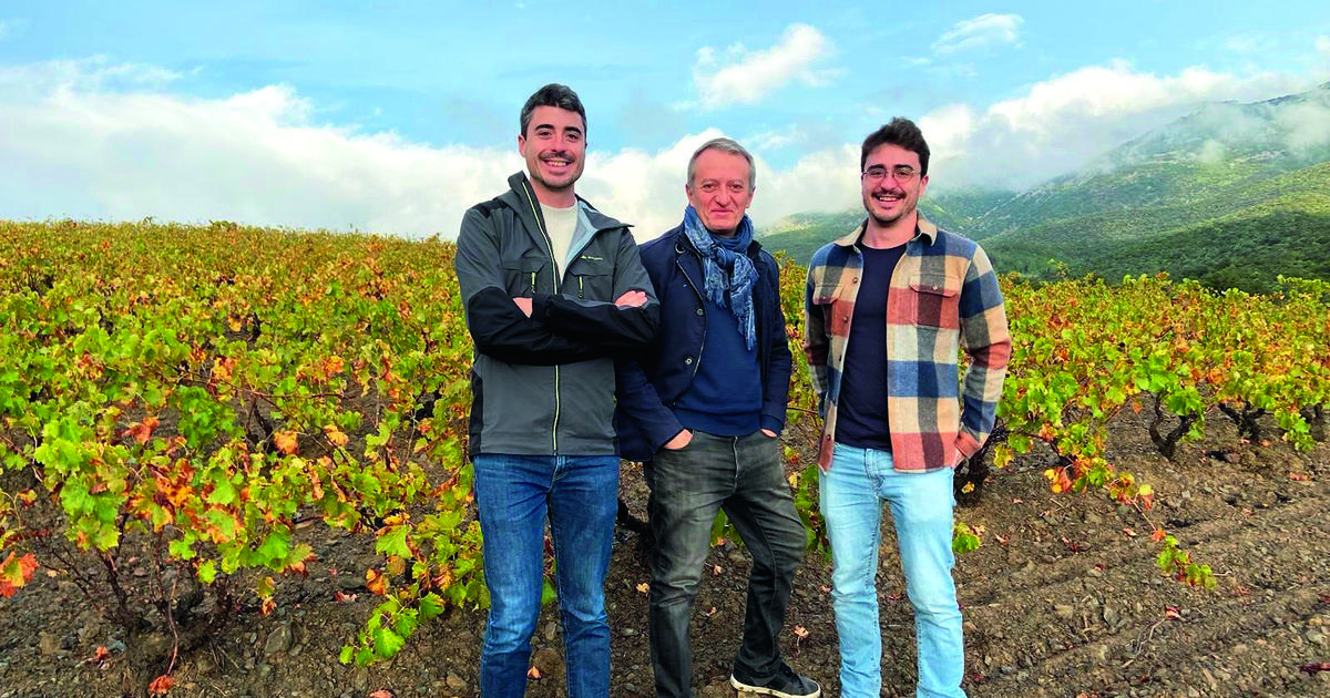 Jean-Luc Coupet, ce banquier devenu vigneron dans le Roussillon et en Bourgogne