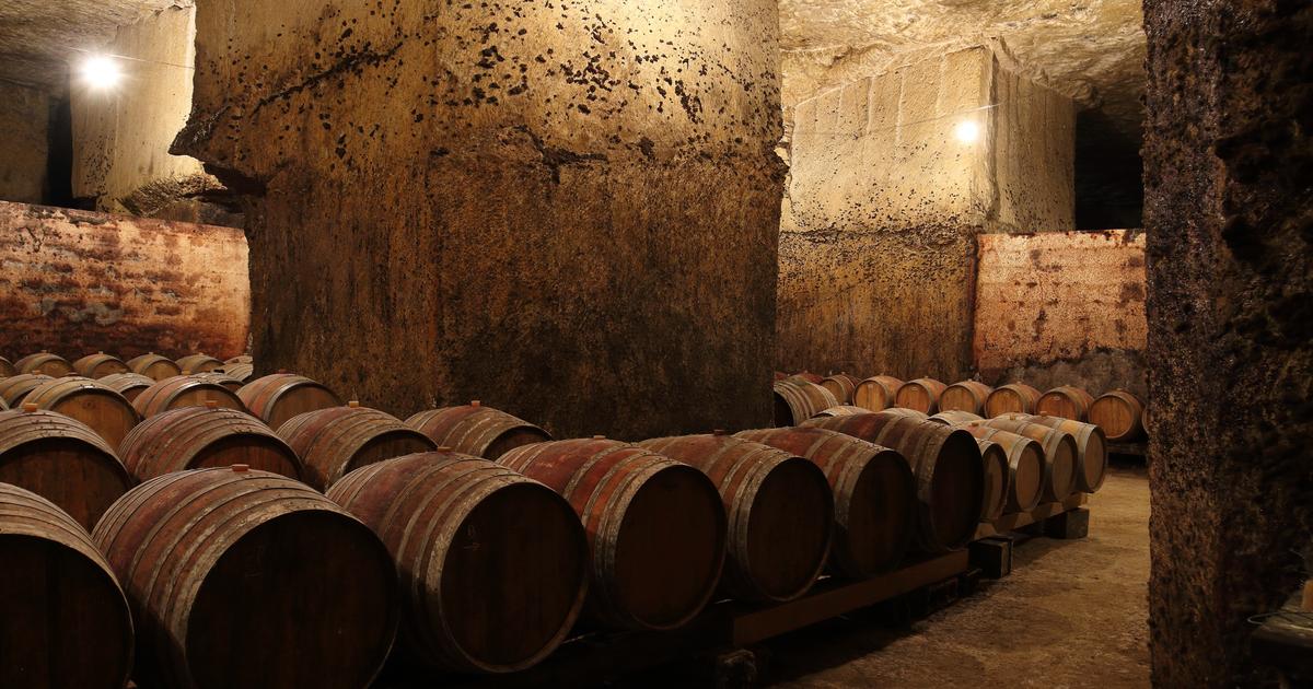 Quand les distilleries rachètent les fûts des plus grands vignobles français : le business discret des barriques de seconde main
